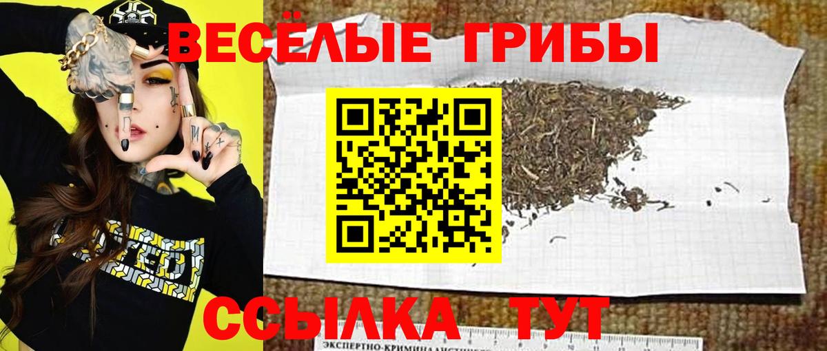 Семёнов  что такое наркотик  Вход с VPN  Псилоцибиновые грибы Psilocybine cubensis 